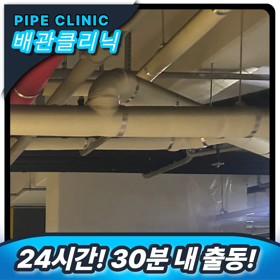 횡주관막힘