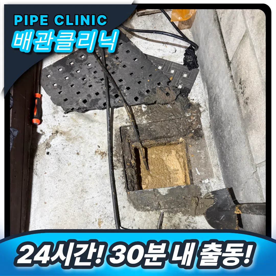 하수구역류