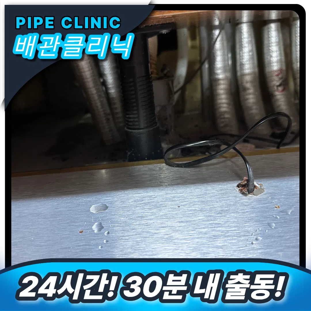 싱크대 악취