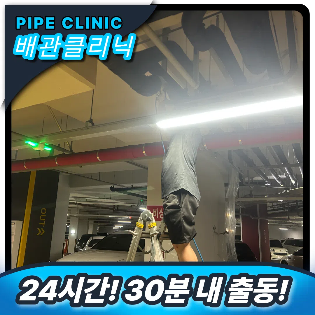양천 횡주관막힘