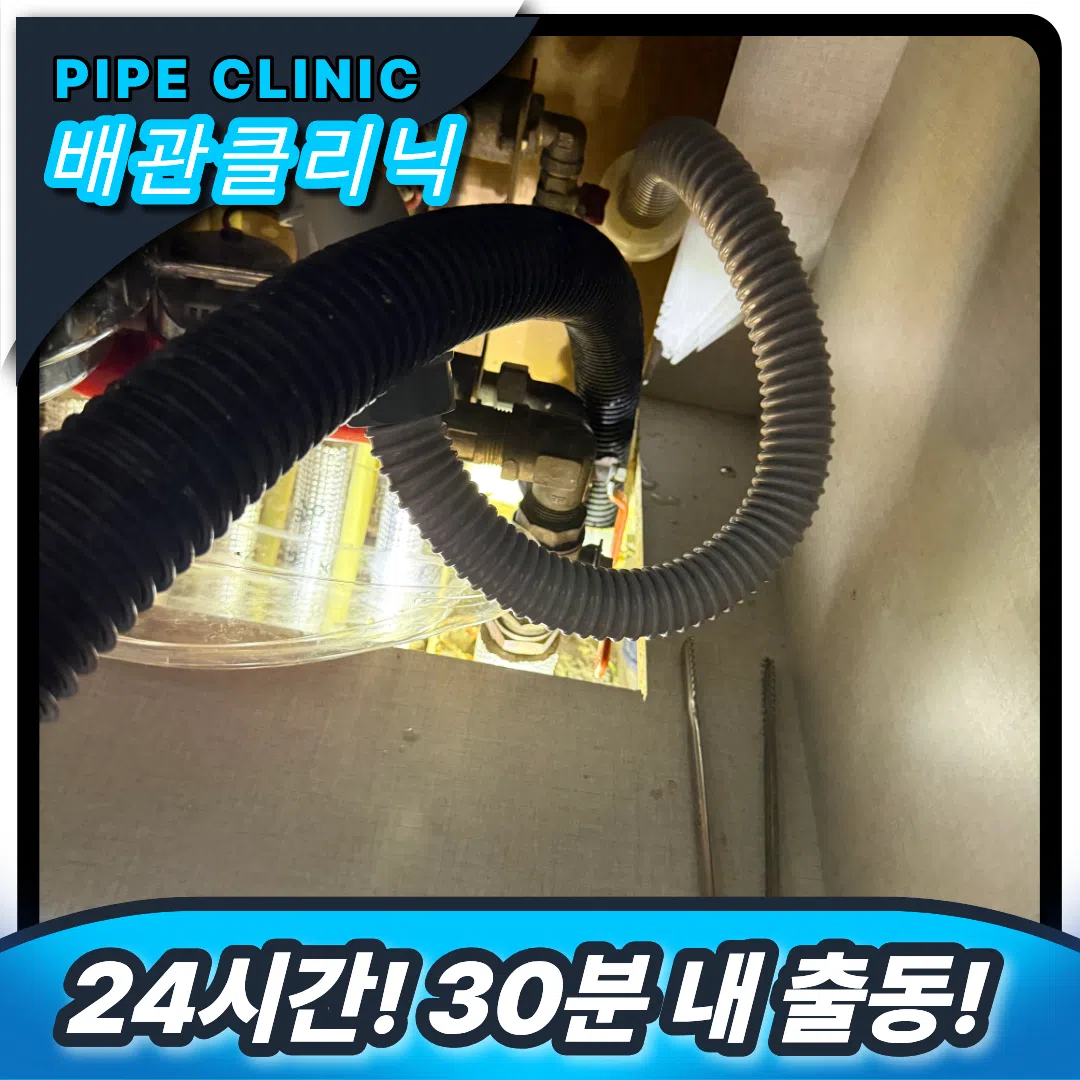 음식물 제거