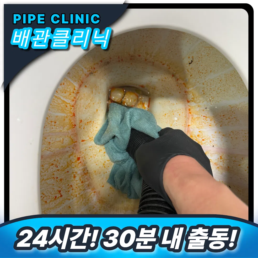 변기역류