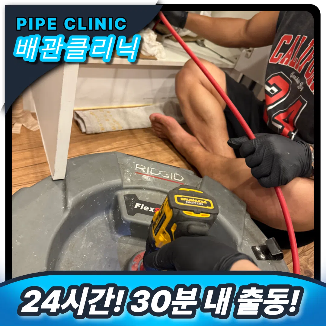 스케일링