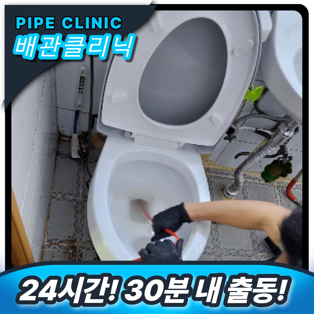 비탈거