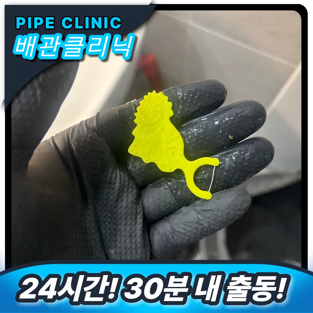불광동 변기역류